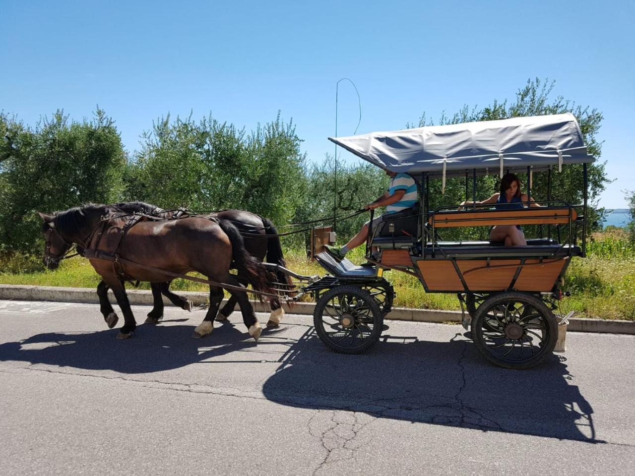 Lamasu Rioverde - Lago Di Garda 圣菲利斯·德尔·贝纳茨 外观 照片